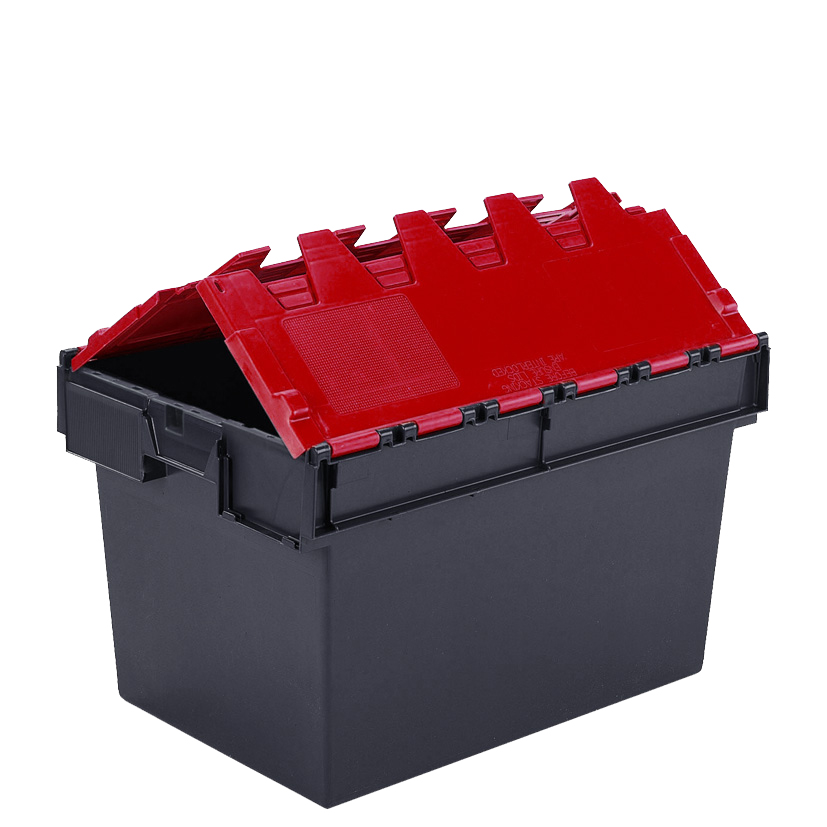 Attached Lid Containers with Coloured Lids