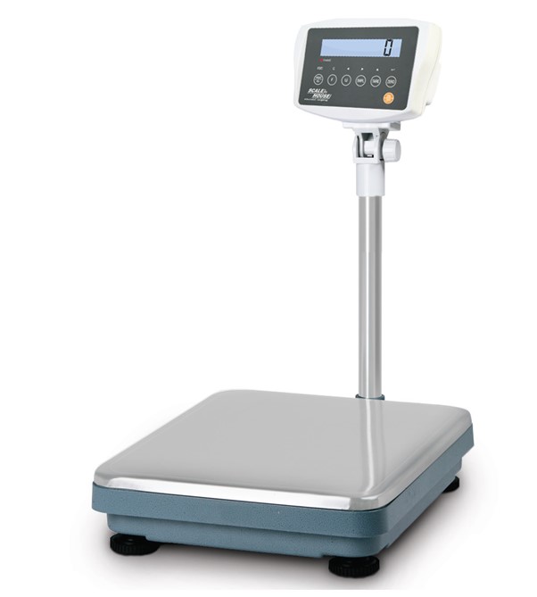 Ultra Accurate Bench/ Floor Scale