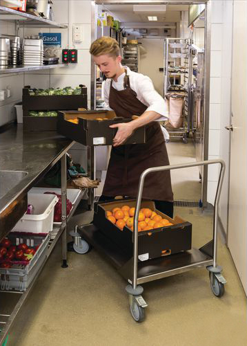 Stainless Steel Platform Trucks