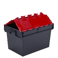 Attached Lid Containers with Coloured Lids